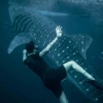 Cebu Oslob Whale Shark Swimming & Kawasan Falls Canyoneering - What the Price Gets You — Is It Worth It?