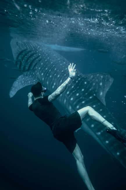 Cebu Oslob Whale Shark Swimming & Kawasan Falls Canyoneering - What the Price Gets You — Is It Worth It?