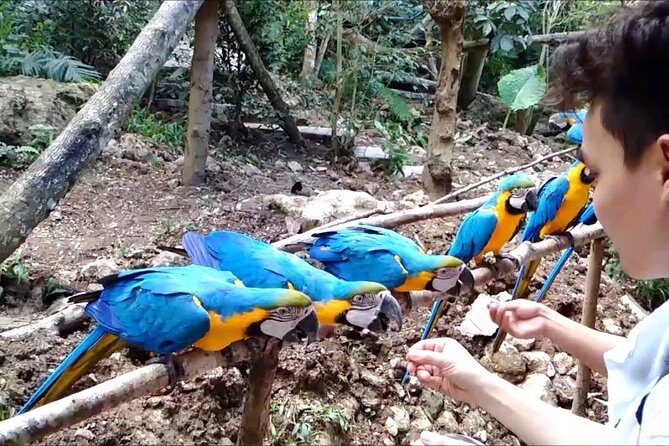 Cebu Safari Day Tour - What’s the Verdict?