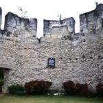 Cebu: Whale Shark Watching & Heritage Tour with Dive Option - The Sum Up