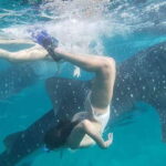 Cebu:WhaleShark Watching & Kawasan Canyoneering Private Tour - What Sets This Tour Apart