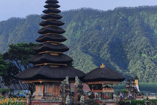Celukan Bawang private North Bali Nature Tour - Who Should Consider This Tour?