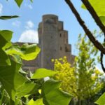 Central Asia Combined Countries Tour 21 days - What Makes This Tour Stand Out