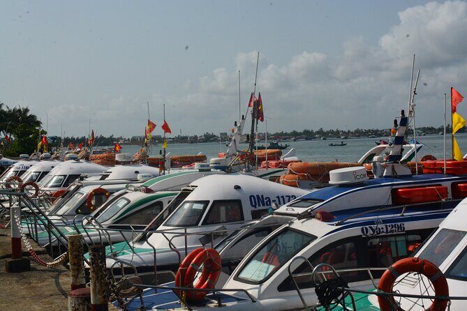 Cham Island Day Tour: Speed Boat, Lunch, Snorkeling & Beach - Final Thoughts: Is This Tour for You?