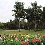 Chandigarh Private Full Day Tour - The Practicalities: What to Know Before You Book