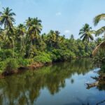 Chandor: Legends, Ruins and Rituals | Heritage Walk - A Deep Dive into the Chandor Heritage Walk