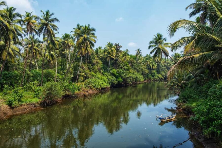 Chandor: Legends, Ruins and Rituals | Heritage Walk - A Deep Dive into the Chandor Heritage Walk