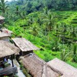 Charter Standard Vehicle with Driver at Bali- 5 Hours Usage - An In-Depth Look at the Bali Private Vehicle Experience