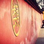 Chengdu Food Tour with Wenshu Yuan Monastery Visit - Who Will Love This Tour?