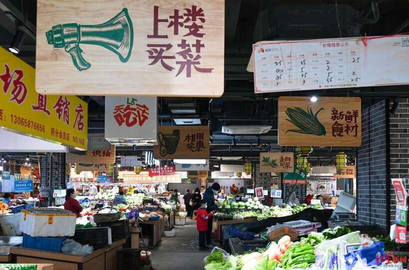 Chengdu: Private Panda Base and Sichuan Cuisine Tour - Itinerary Breakdown: What to Expect