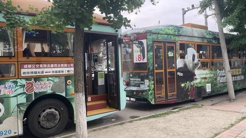 Chengdu: Private Tour at Panda Base with Guide - Who Would Love This Tour?