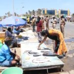 Chennai: Private Day Tour with Transportation and Tickets - FAQ