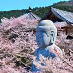 Cherry Blossom Buddha and Mt.Yoshino with Strawberry Picking Tour - What the Tour Includes & What It Doesn’t