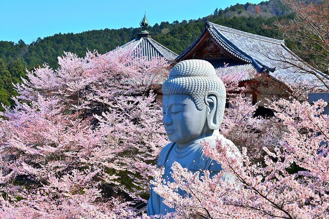 Cherry Blossom Buddha and Mt.Yoshino with Strawberry Picking Tour - What the Tour Includes & What It Doesn’t