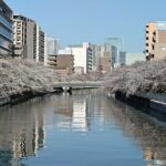 Cherry Blossom Sightseeing River Boat Experience - Who Will Love This Experience?