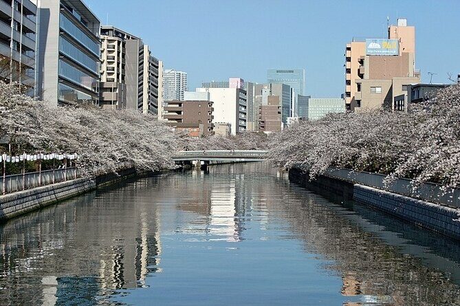 Cherry Blossom Sightseeing River Boat Experience - Who Will Love This Experience?