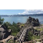 Cherry Blossoms in Kagoshima - Potential Drawbacks