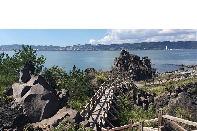 Cherry Blossoms in Kagoshima - Potential Drawbacks