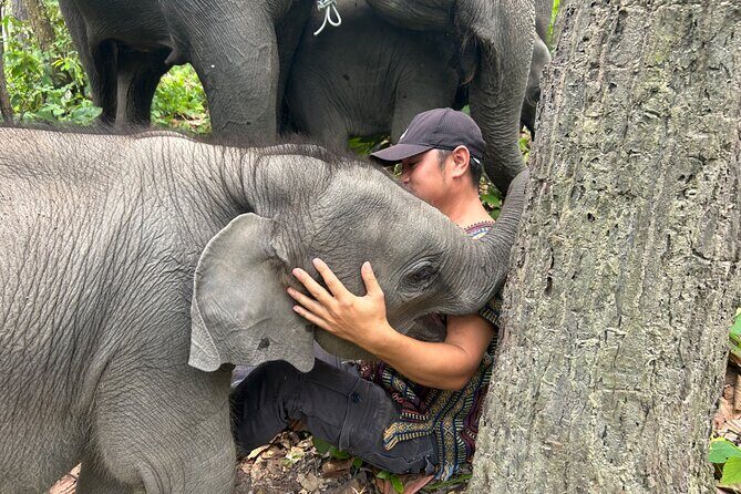 Chiang Mai 1 Day: Elephant Sanctuary, Waterfall & Bamboo Rafting - FAQ