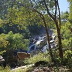 Chiang Mai 2 Day 1 Night Jungle Trekking and Bamboo Rafting - Who Should Consider This Tour?