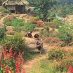 Chiang Mai Iconic Temples and City Tour - What the tour includes and the value it brings