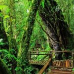 Chiang Mai to Doi Inthanon Full Day Shared Tour - An In-Depth Look at the Tour Experience