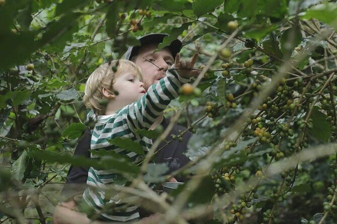 Chiangmai Coffee Farm Tour - Exploring the Chiangmai Coffee Farm Tour: A Closer Look