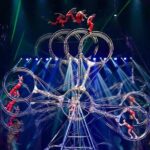 Chimelong International Circus Ticket with Transfer - What to Expect at Each Part of the Itinerary
