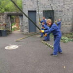 China: 13-Day Tour with Terracotta Army and Giant Pandas - What This Tour Means for You