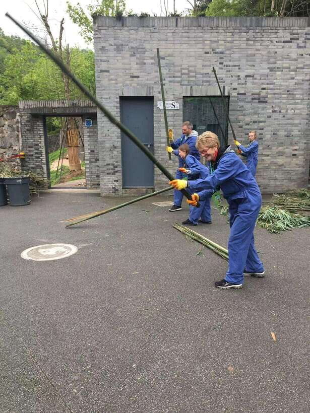 China: 13-Day Tour with Terracotta Army and Giant Pandas - What This Tour Means for You