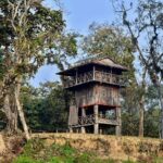 Chitwan Jungle Safari 3-Day Tour - Potential Drawbacks or Considerations