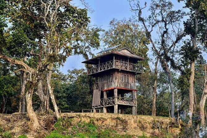 Chitwan Jungle Safari 3-Day Tour - Potential Drawbacks or Considerations
