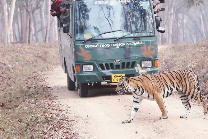 Chitwan jungle safari with canoe river ride - Why This Tour Is a Great Value