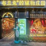 Chongqing: Art and Culture Immersion - Practical Details and What to Expect