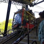 Chureito Pagoda-Arakurayama and Lake Kawaguchi Guided Tour-Van - Who Will Love This Tour?