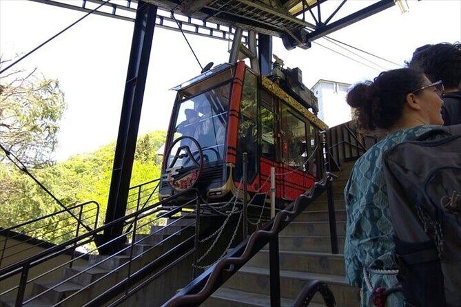 Chureito Pagoda-Arakurayama and Lake Kawaguchi Guided Tour - The Sum Up