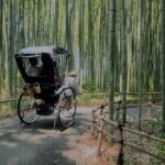 Cinematic Portrait Film Experience in Kyoto with Local Filmmaker - The Experience in Detail: What You Can Expect