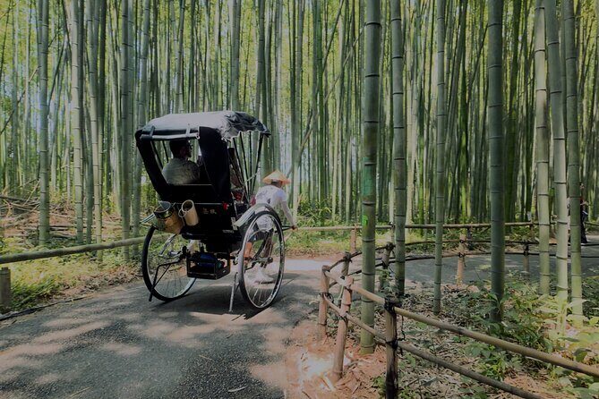 Cinematic Portrait Film Experience in Kyoto with Local Filmmaker - The Experience in Detail: What You Can Expect