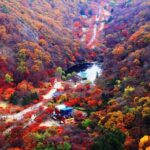 Classic Naejangsan National Park One Day Tour (Autumn Limited - FAQ about the Naejangsan National Park One Day Tour