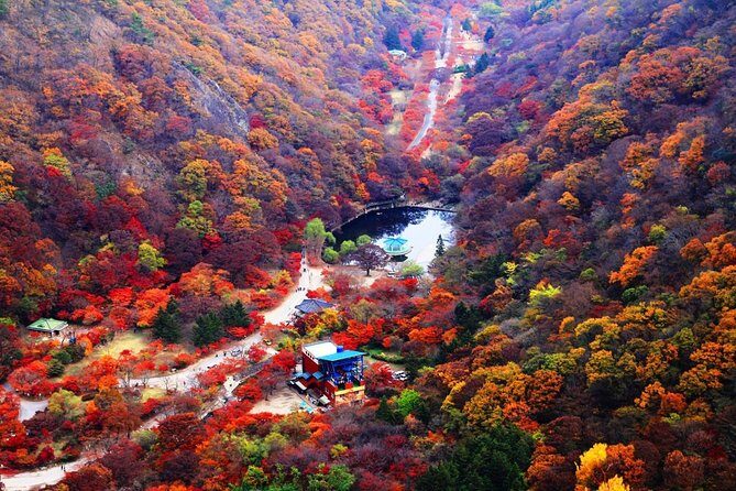 Classic Naejangsan National Park One Day Tour (Autumn Limited - FAQ about the Naejangsan National Park One Day Tour