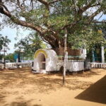 Coastal Ride to Galle from Negombo - Who Is This Tour Best For?