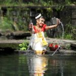 Cochin: 5-Day Kerala Tour with Houseboat and Wildlife - Why This Tour Offers Great Value