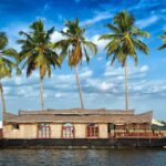 Cochin: 5-Day Kerala Tour with Munnar, Thekkady and Alleppey - Who Will Love This Tour?