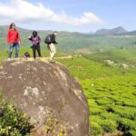 Cochin: 5-Day Private Tour of Munnar, Alleppey & Backwaters - Why This Tour Offers Great Value