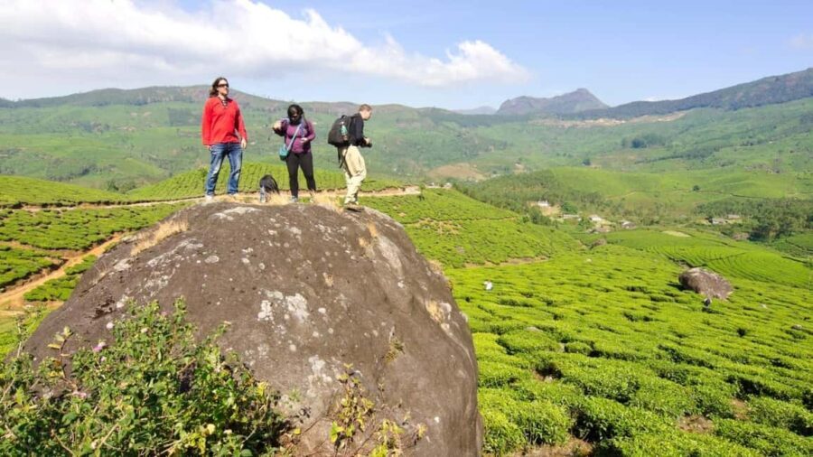 Cochin: 5-Day Private Tour of Munnar, Alleppey & Backwaters - Why This Tour Offers Great Value