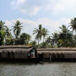 Cochin: Alleppey Backwater Private Day Cruise by Houseboat - Why This Tour Works: What Makes It Special?
