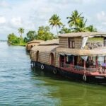 Cochin: Periyar Wildlife Sanctuary Safari with Boat Ride - Practical Tips for Visitors