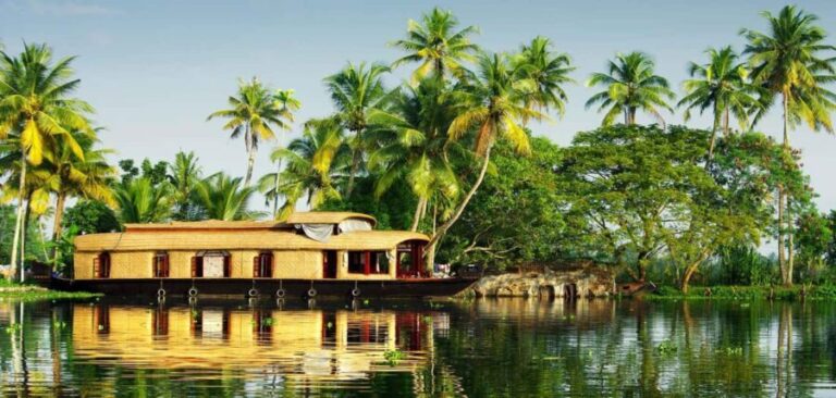Cochin Shore excursion with Lijo Jose - Authentic Experiences and Guides