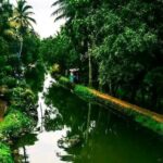 Coconut Lagoons, Paddies, Birds, & Fish Experience Tours - Why This Tour Offers Good Value