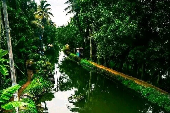 Coconut Lagoons, Paddies, Birds, & Fish Experience Tours - Why This Tour Offers Good Value